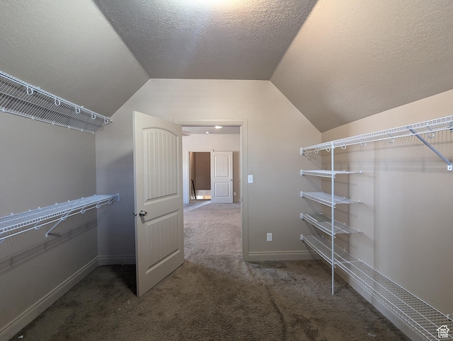 3006 E Somerset Dr, Spanish Fork, UT 84660 - spacious closet with carpet floors and vaulted ceiling