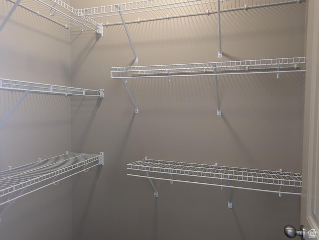 3006 E Somerset Dr, Spanish Fork, UT 84660 - view of walk in closet