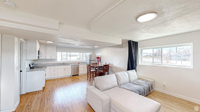 1125 N Trinnaman Ln, Lehi, UT 84043 - living room featuring sink, light wood-type flooring, and a textured ceiling