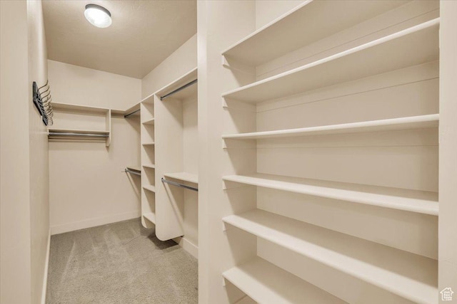 699 E Lost Dr, Washington, UT 84780 - spacious closet with carpet flooring