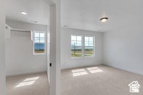 spare room featuring light carpet
