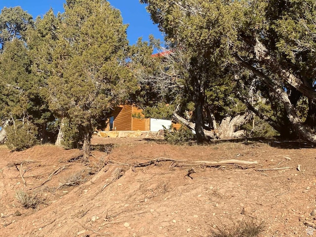 45450 W Cedar Rock Rd, Fruitland, UT 84027 - view of yard
