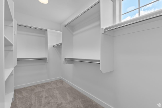 1972 S 2475 W, West Haven, UT 84401 - spacious closet featuring carpet floors