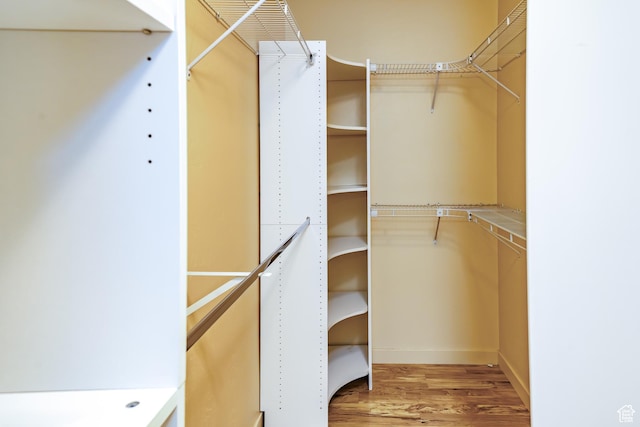 865 Seminole Way S, Washington, UT 84780 - walk in closet with wood finished floors