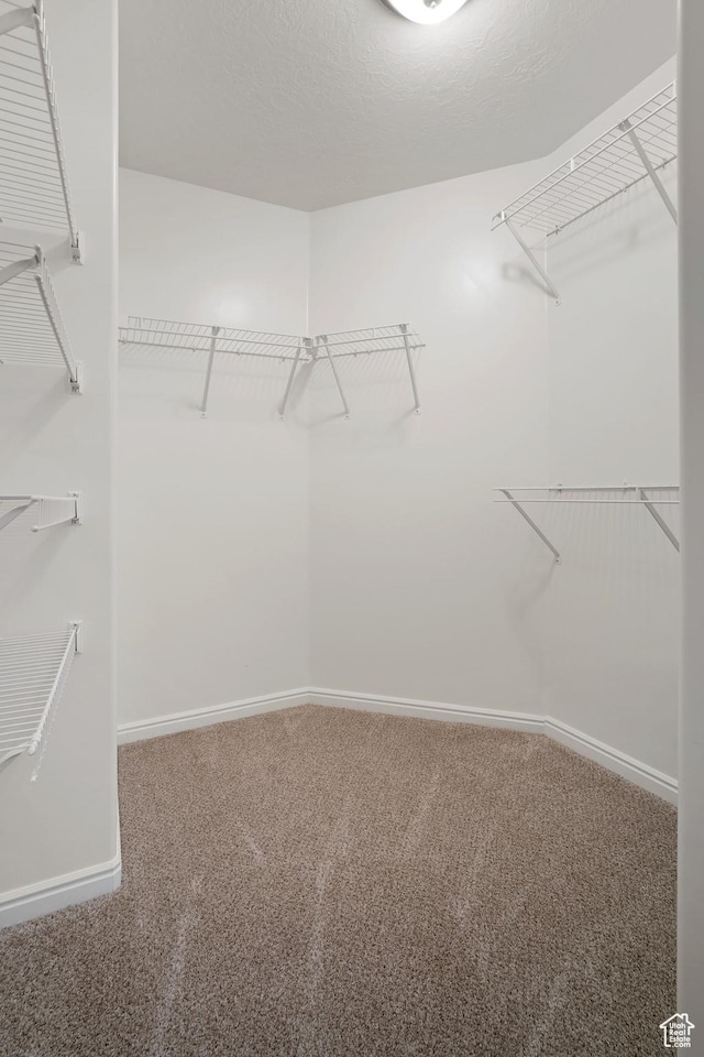131 S 1900 W Unit U2, Lehi, UT 84043 - spacious closet with carpet floors