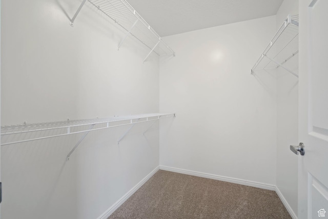 131 S 1900 W Unit U2, Lehi, UT 84043 - spacious closet featuring carpet