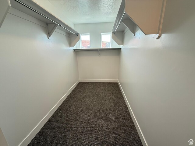 1949 S Freestone Blvd Unit 417, Santaquin, UT 84655 - walk in closet with dark colored carpet