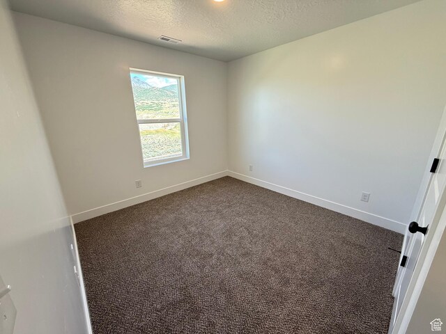 1949 S Freestone Blvd Unit 417, Santaquin, UT 84655 - unfurnished room featuring a textured ceiling, dark colored carpet, and baseboards