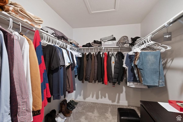 3788 W Soft Whisper Way, Herriman, UT 84096 - walk in closet with carpet floors