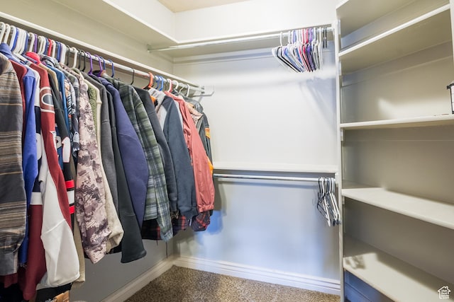 spacious closet with carpet