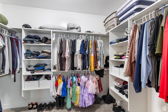 4142 N Fairfield Dr, Eagle Mountain, UT 84005 - spacious closet with carpet flooring