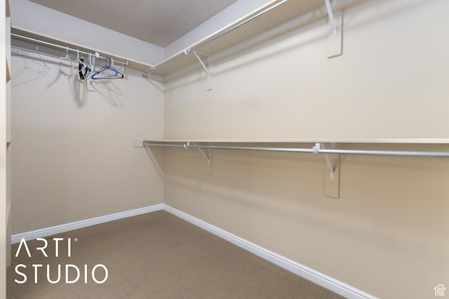 3013 W Alta Peak Rd, South Jordan, UT 84095 - spacious closet featuring carpet