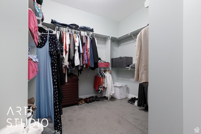 3013 W Alta Peak Rd, South Jordan, UT 84095 - walk in closet featuring carpet flooring