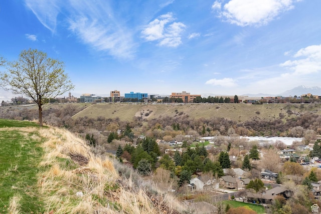 1609 E Quail Way, Logan, UT 84321 - view of local wilderness with a mountain view