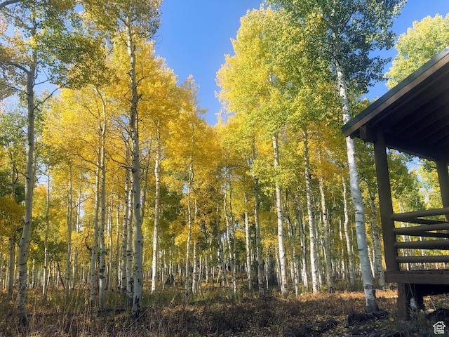 11249 E Columbine Ln Unit 1607, Heber City, UT 84032 - view of nature