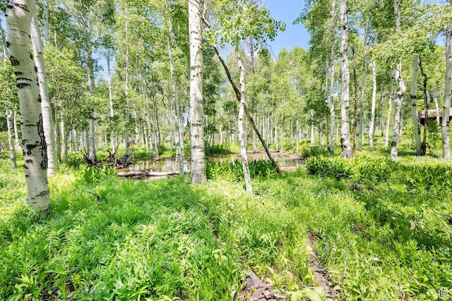 11249 E Columbine Ln Unit 1607, Heber City, UT 84032 - view of nature
