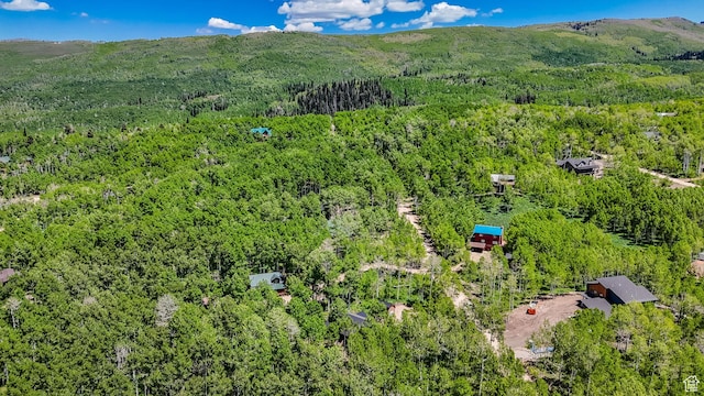 11249 E Columbine Ln Unit 1607, Heber City, UT 84032 - drone / aerial view of a forest and a mountainous background