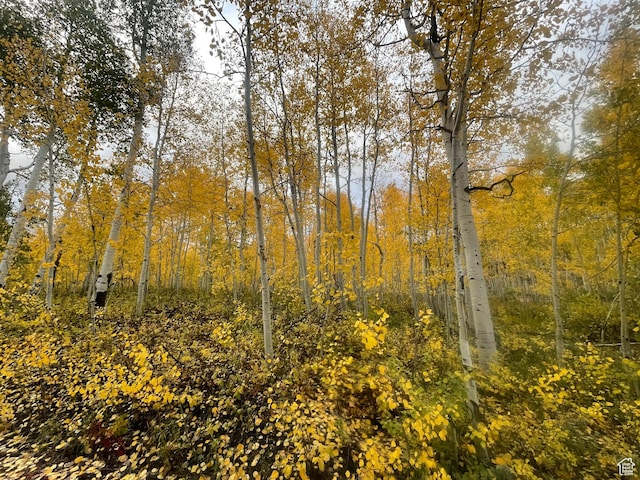 11249 E Columbine Ln Unit 1607, Heber City, UT 84032 - view of wooded area
