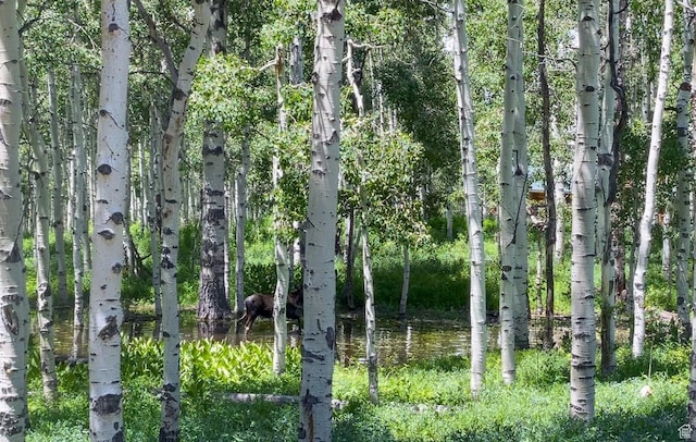 11249 E Columbine Ln Unit 1607, Heber City, UT 84032 - view of local wilderness with a large body of water