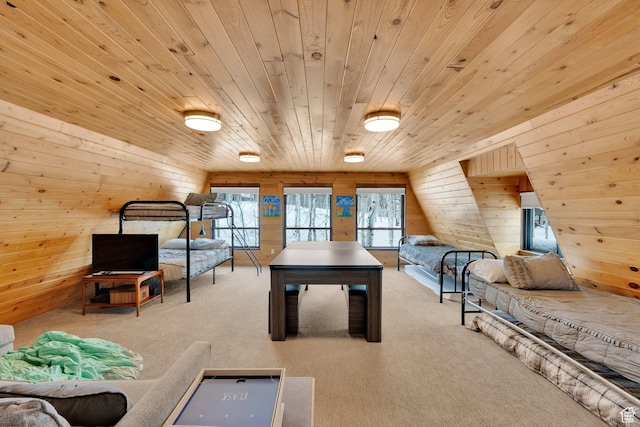 11249 E Columbine Ln Unit 1607, Heber City, UT 84032 - playroom with wooden walls, carpet flooring, and wooden ceiling