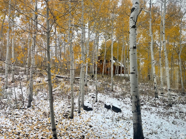 11249 E Columbine Ln Unit 1607, Heber City, UT 84032 - view of snow covered land