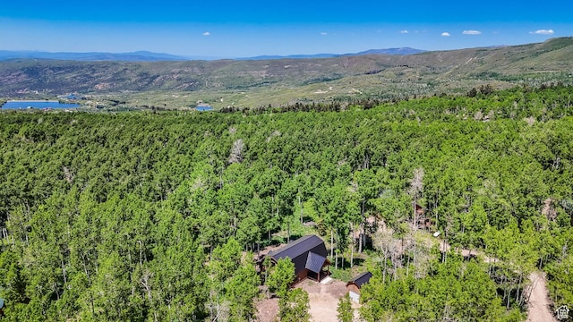 11249 E Columbine Ln Unit 1607, Heber City, UT 84032 - bird's eye view of a heavily wooded area and a water and mountain view