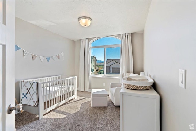 912 N 600 E, Morgan, UT 84050 - carpeted bedroom with a nursery area and a textured ceiling