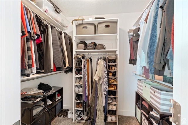 912 N 600 E, Morgan, UT 84050 - spacious closet featuring carpet floors