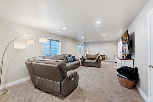 912 N 600 E, Morgan, UT 84050 - living area featuring light carpet, a textured ceiling, recessed lighting, and baseboards
