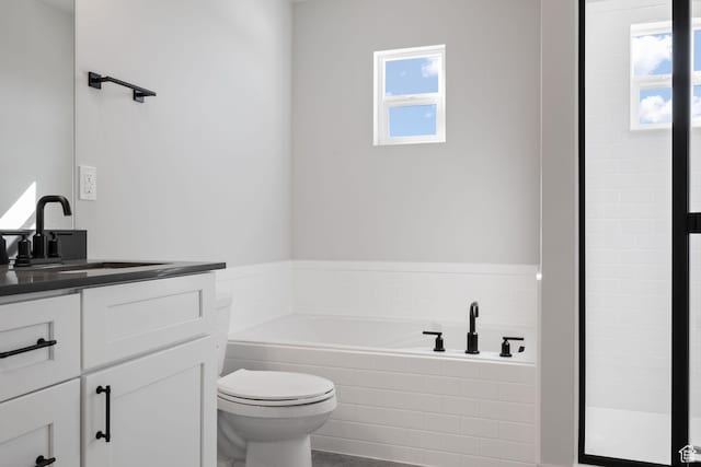 bathroom featuring toilet, vanity, and a bath
