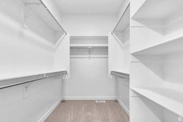 2571 N 3200 W, Clinton, UT 84015 - spacious closet with light carpet