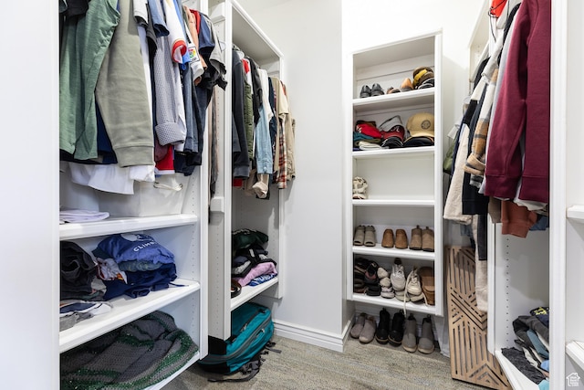 93 N 200 W, Smithfield, UT 84335 - view of walk in closet