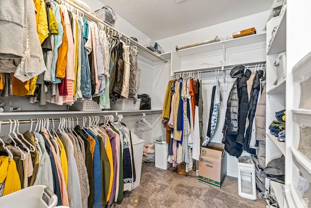 walk in closet with carpet flooring