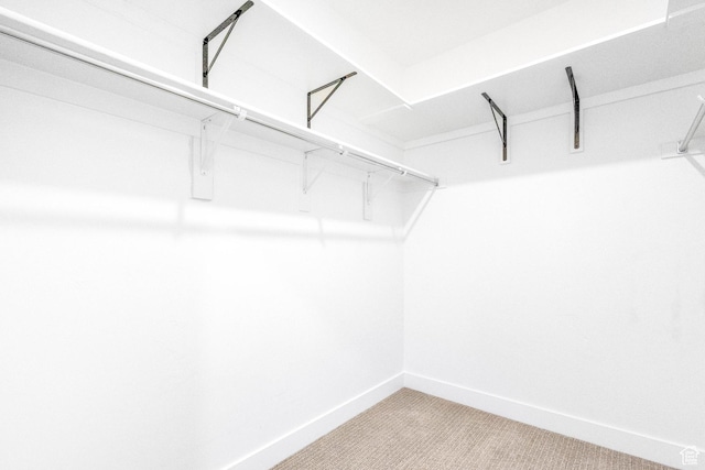 875 S Depot St Unit C316, Clearfield, UT 84015 - spacious closet featuring carpet floors