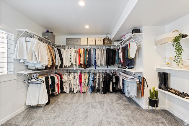2321 E John Holladay Ct S, Holladay, UT 84117 - walk in closet with light colored carpet