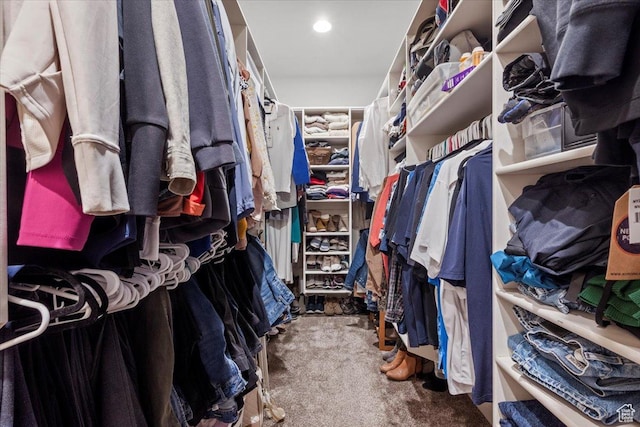 walk in closet featuring carpet