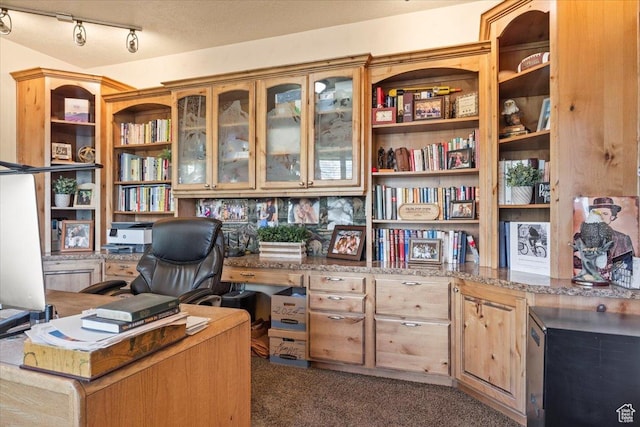 office featuring rail lighting and carpet