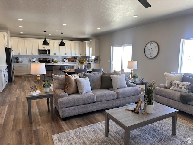 798 W Clark St N, Grantsville, UT 84029 - living area featuring dark wood-style floors, recessed lighting, and a textured ceiling