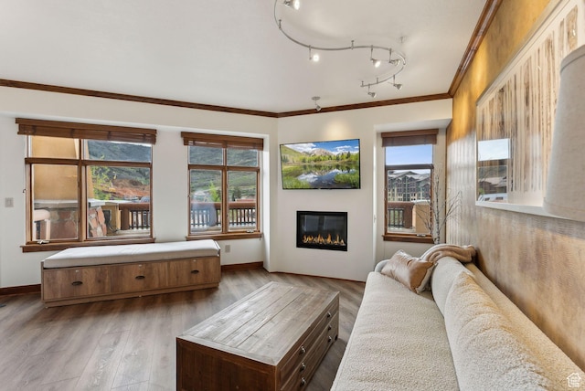 3720 N Sundial Ct Unit C207, Park City, UT 84098 - living room with a glass covered fireplace, crown molding, healthy amount of natural light, and baseboards