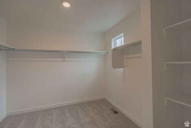 1644 N 800 W, Salem, UT 84653 - spacious closet with carpet floors