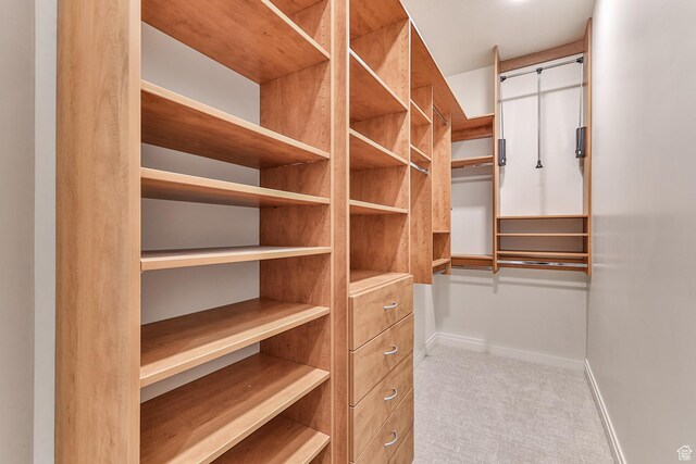 38 S 1840 W, St George, UT 84770 - walk in closet featuring light colored carpet