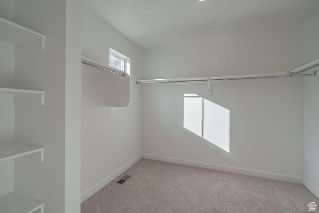 1686 N 800 W, Salem, UT 84653 - spacious closet with light carpet