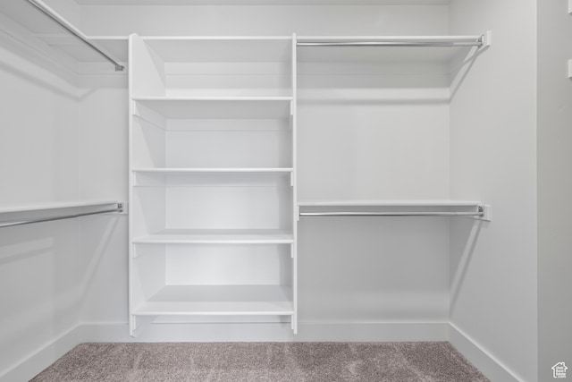 2452 W 2950 N Unit 112, Farr West, UT 84404 - spacious closet with carpet flooring