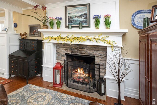 room details with a stone fireplace, crown molding, a wainscoted wall, a decorative wall, and wood finished floors