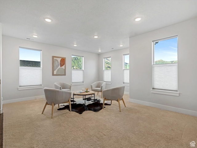 14678 S Silver Blossom Way E, Draper, UT 84020 - living area with carpet floors and recessed lighting