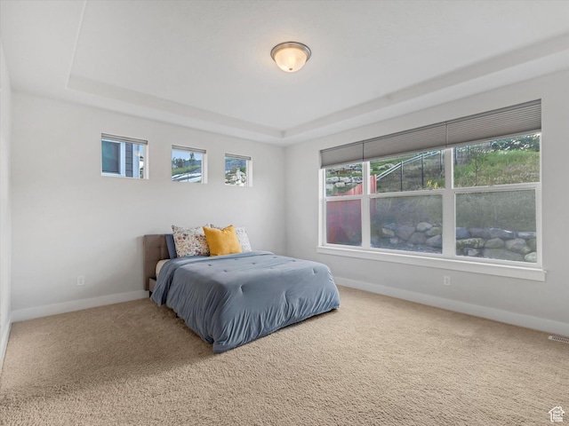 14678 S Silver Blossom Way E, Draper, UT 84020 - bedroom with a tray ceiling and carpet floors