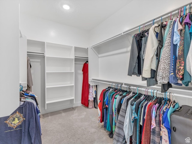 14678 S Silver Blossom Way E, Draper, UT 84020 - spacious closet with carpet