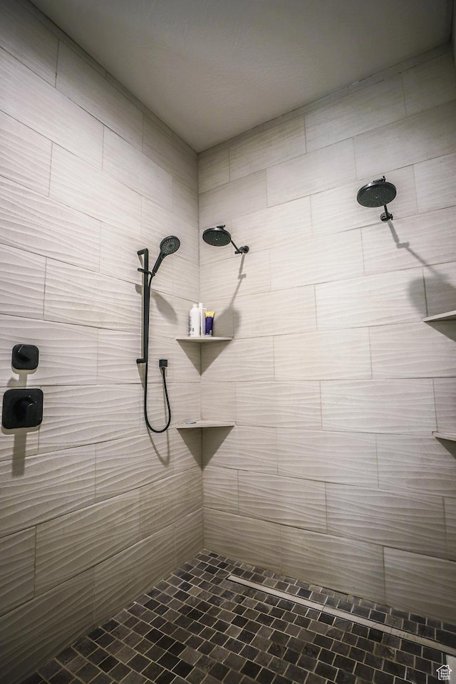 2906 N Purple Sage Rd, Apple Valley, UT 84737 - bathroom featuring a tile shower