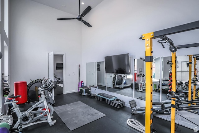 2906 N Purple Sage Rd, Apple Valley, UT 84737 - exercise room with a ceiling fan and a towering ceiling