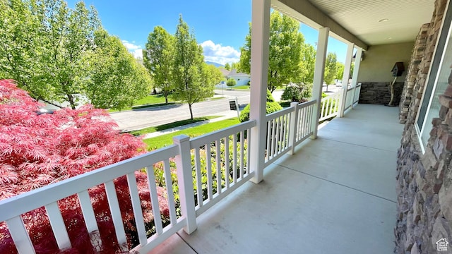 6438 S Mckinley Ln, Taylorsville, UT 84129 - photo 46